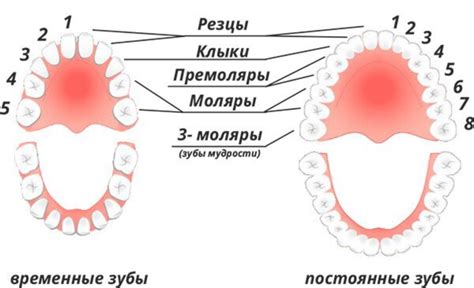 Отклонение от нормы: неустойчивость зуба без появления крови во сне