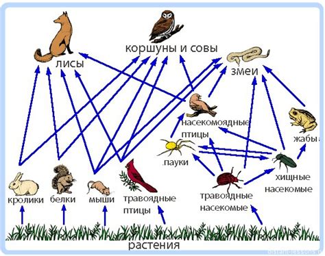 Отключенная сеть питания