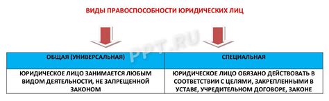 Открытый перечень видов деятельности