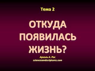 Откуда появилась тема "родился против ночи"