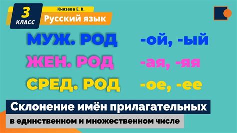 Отличие в использовании was и were в единственном и множественном числе