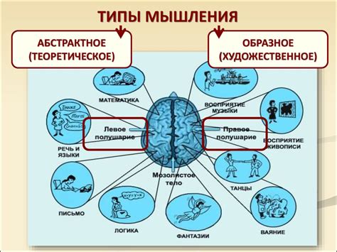 Отличия и применение разных типов мышления в практической деятельности