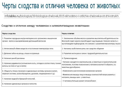 Отличия и сходства с аналогичными концепциями