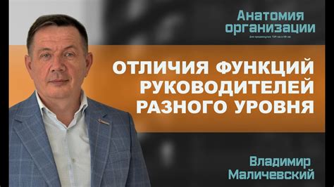 Отличия CEO от других руководителей