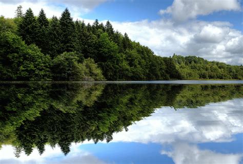 Отражение изобилия воды в сновидениях