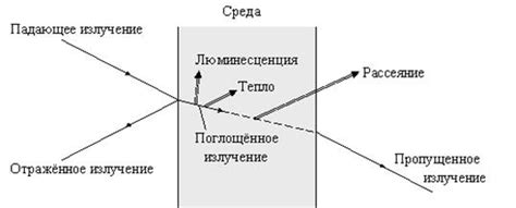 Отражение и поглощение света различными тканями глаза