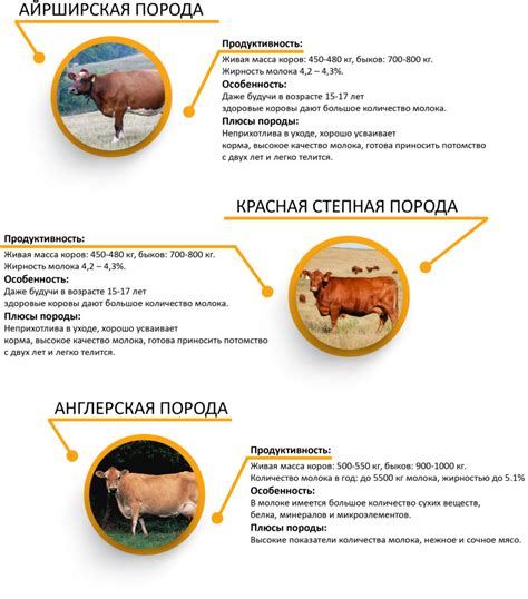 Отражение процессов в жизни и сознании через сон о коровах