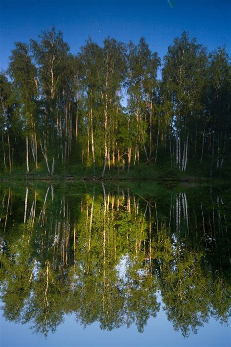 Отражение реальности