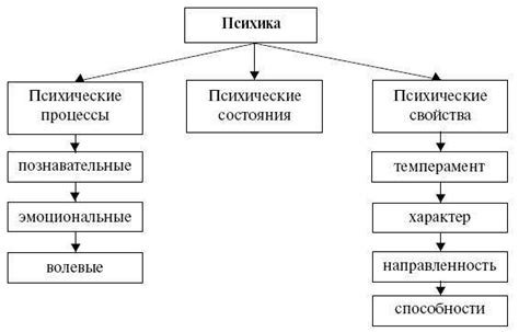 Отражение состояния психики: анализ снов о сливках в упаковках в контексте эмоционального благополучия