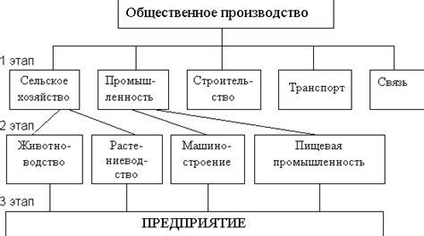 Отрасль управления: что это?