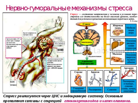 Отрицательная эмоциональная реакция: