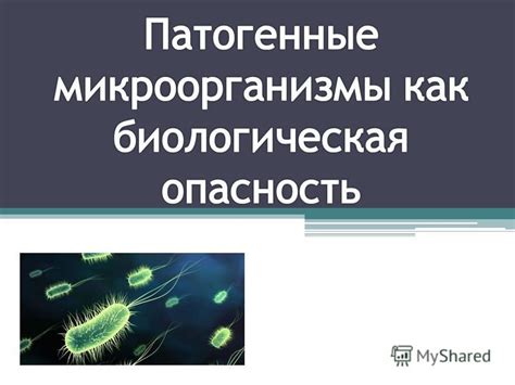 Отрицательное толкование: насилие и опасность