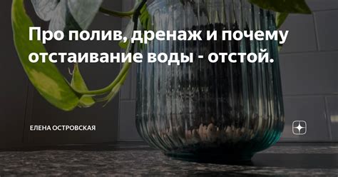 Отстаивание воды: почему это важно?