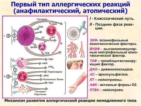 Отсутствие аллергических реакций на манку