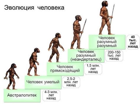 От чаров к известности: история эволюции