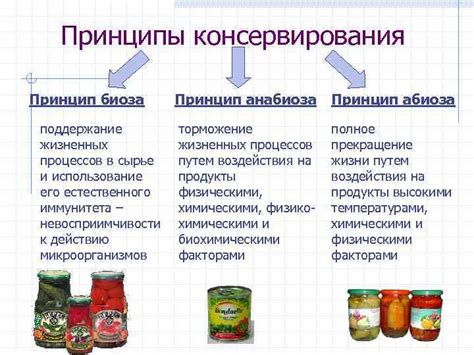 Охлажденное сырье: принципы и значение