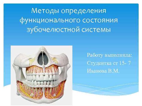 Оценка состояния зубочелюстной системы