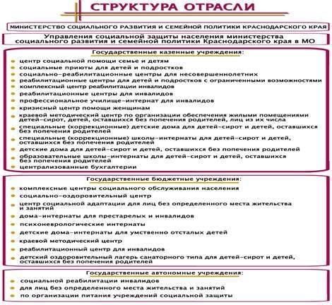 Оценка функционирования органов