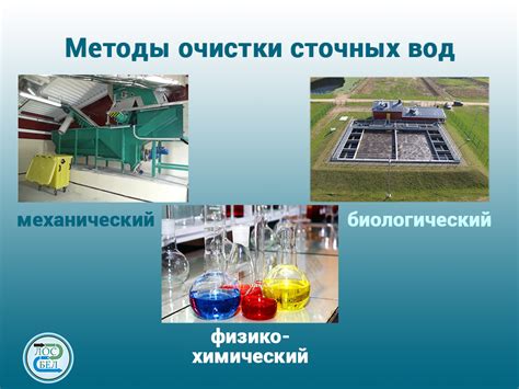 Очистка сэмпла: определение и методы