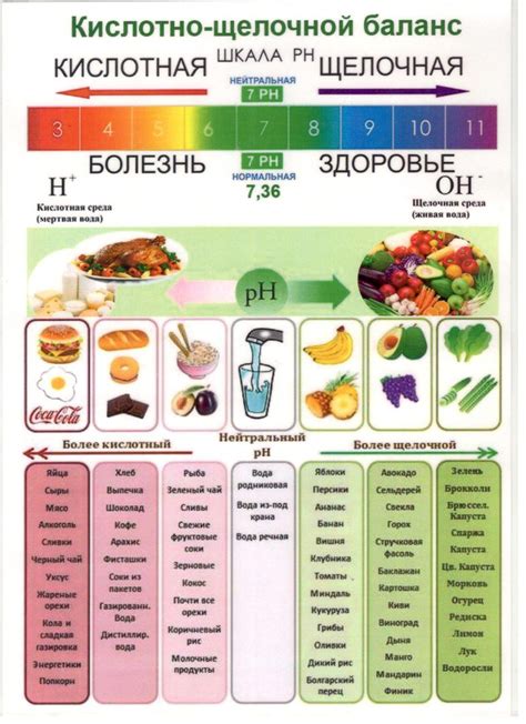 Ощелачивание организма: принципы и полезность