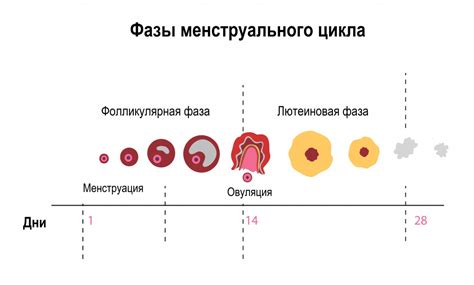 ПМС у женщин