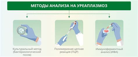 ПЦР-анализ уреаплазма: цель и преимущества метода