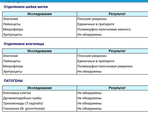 Палочковая флора: разъяснение основных терминов