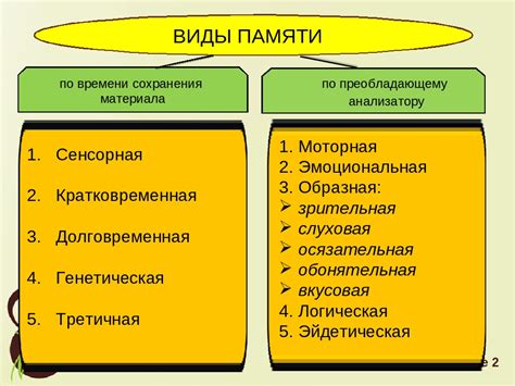 Память: основные характеристики и механизмы