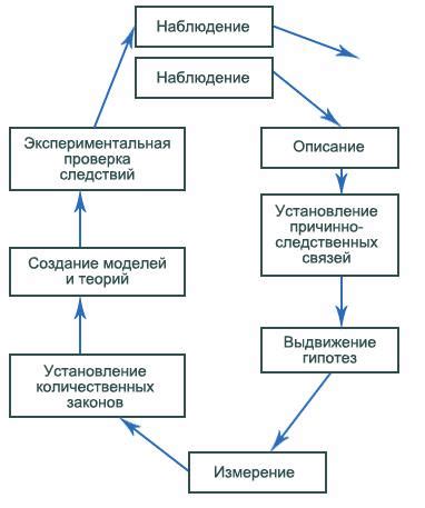 Память и ее роль в процессе познания