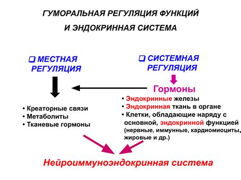 Панцирь и регуляция телепературы