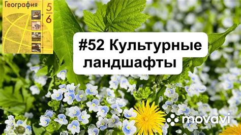 Параграф 6: Культурные аспекты забывания