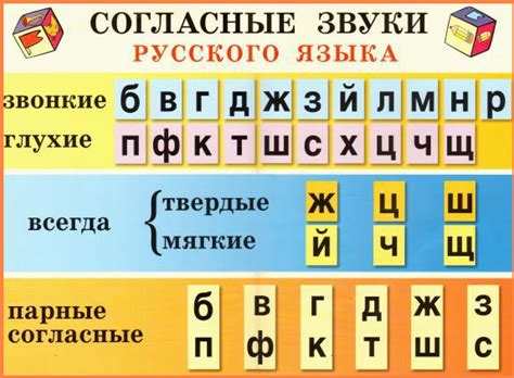 Парная буква в русском языке