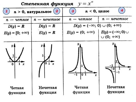 Парная функция: определение, примеры, свойства