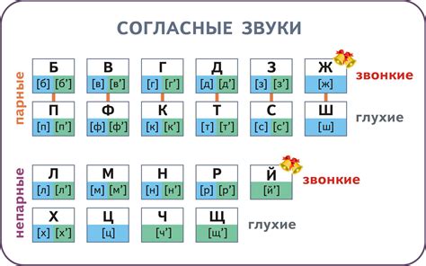 Парные звуки: обобщение и особенности