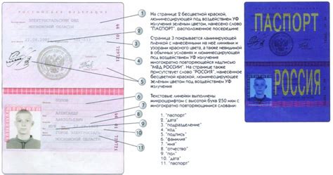 Паспорт РФ: отличительные признаки даты выдачи