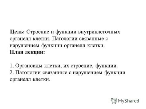 Патологии, связанные с нарушением экзокринной функции