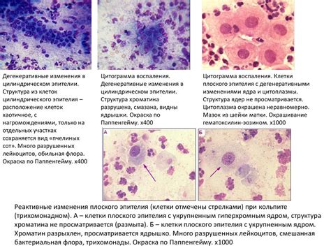 Патологические изменения и возможные заболевания