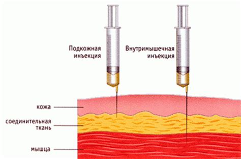 Патронажный больной: понятие и особенности