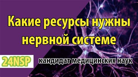 Пентовит: положительное воздействие на нервную систему