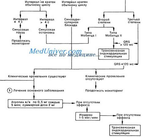 Первая помощь при полной блокаде сердца у взрослых