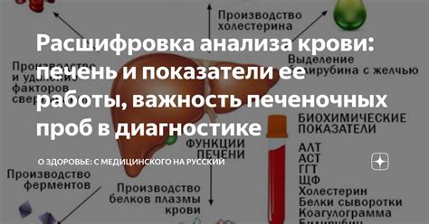 Первая причина повышения печеночных проб