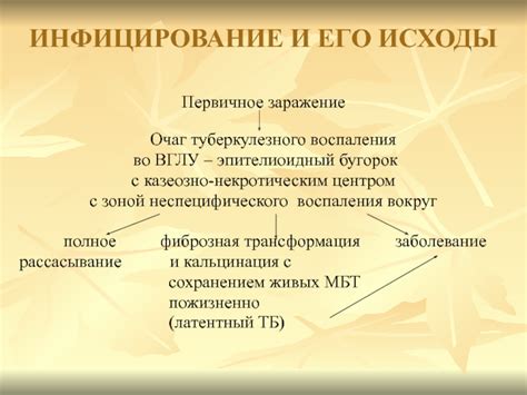 Первичное заражение и его последствия