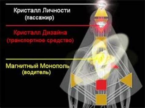 Первое заживление швов: понимаем суть этого процесса