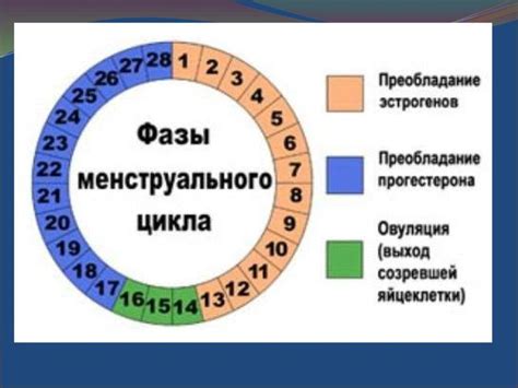 Первые месячные у девушек