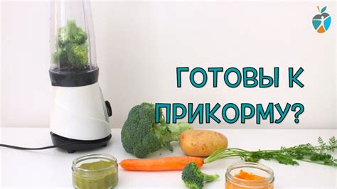 Первые продукты