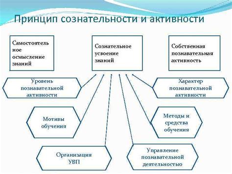 Первый принцип сознательности: Принятие ответственности