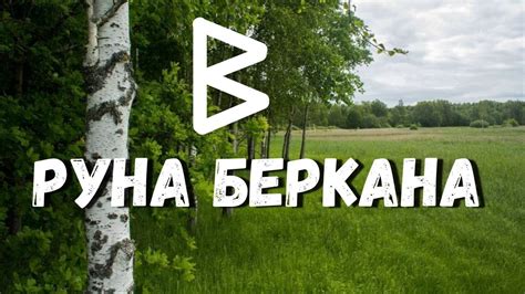 Перевернутая беркана: основные сведения