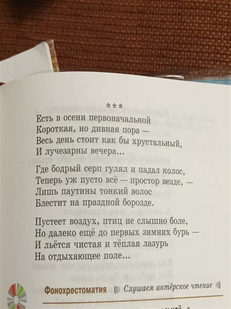 Переживания, пробуждаемые стихотворением "Снежная тьма" Твардовского