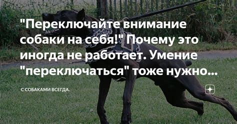 Переключайте внимание на другие заботы