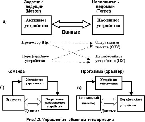 Перекодирование данных: основные аспекты и выгоды процесса